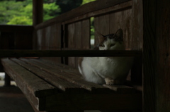 休憩所