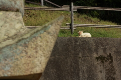 そんなところに・・・