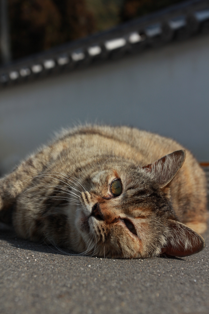 いつもの場所で