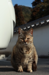 いつもの場所で