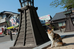 猫のいる風景