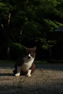 いつもの場所に