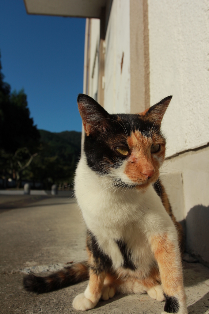 いつもの場所で