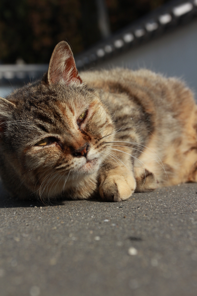 いつもの場所で
