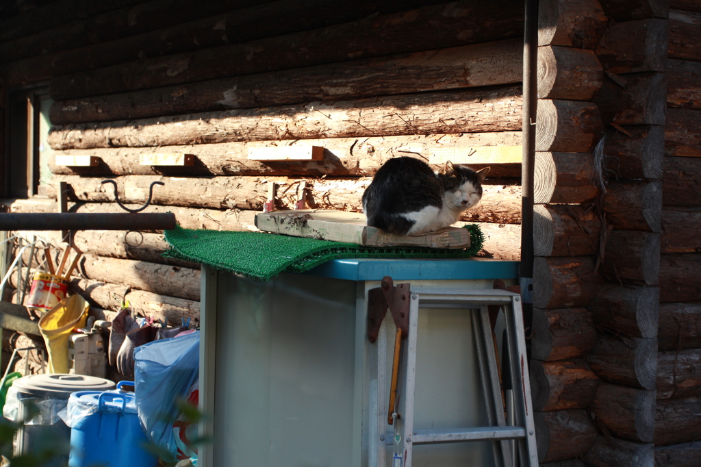 お気に入りの場所?