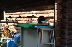 お気に入りの場所?