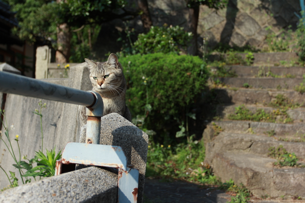 尾道へ　出会いを求めて1