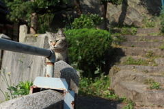 尾道へ　出会いを求めて1
