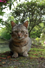 お座り