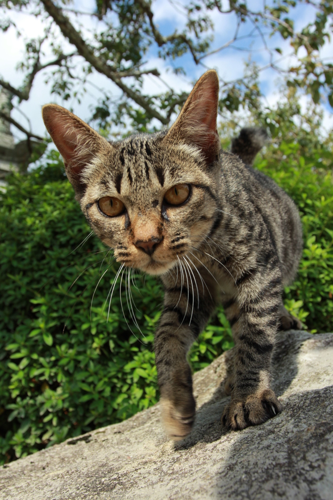 僕の１枚