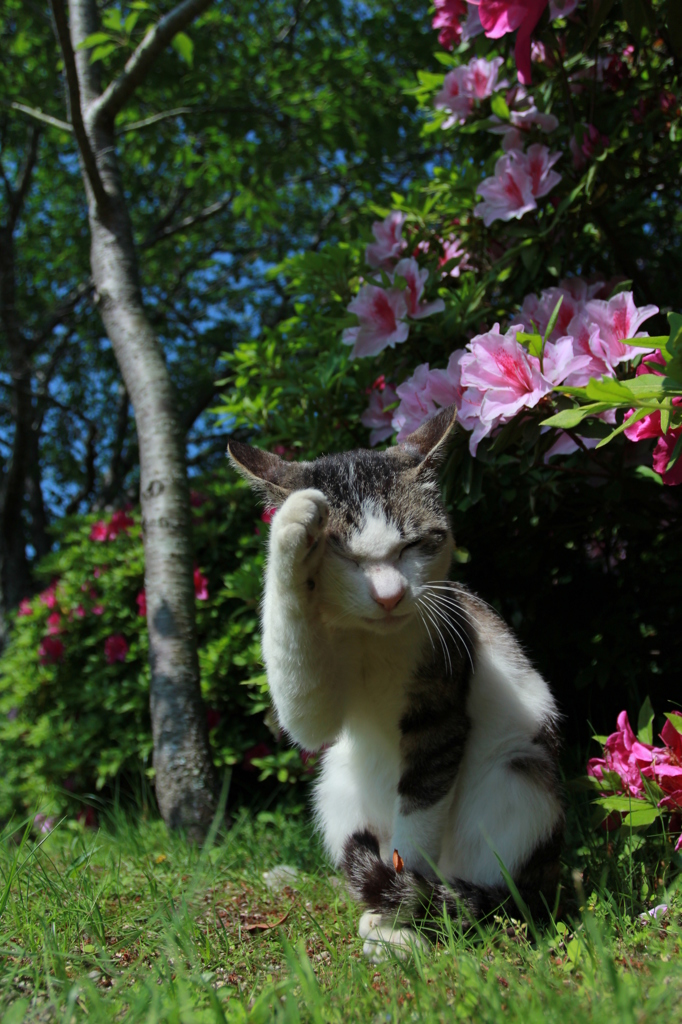 どうもすいません