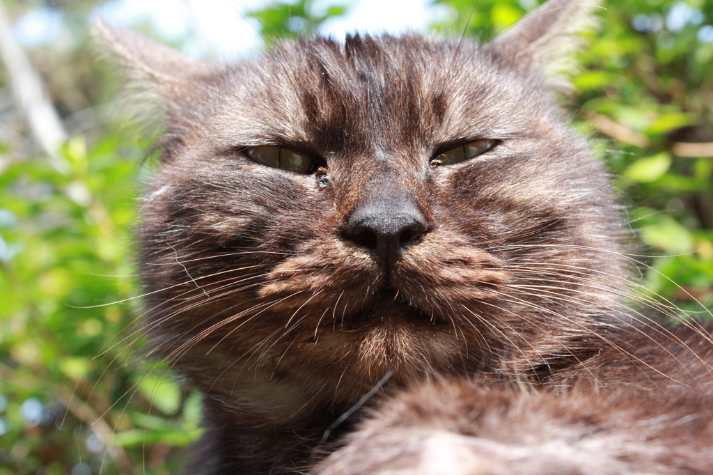 何見てんだよ（な感じですかね）