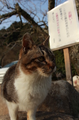 いつもの場所で