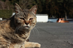 いつもの場所で