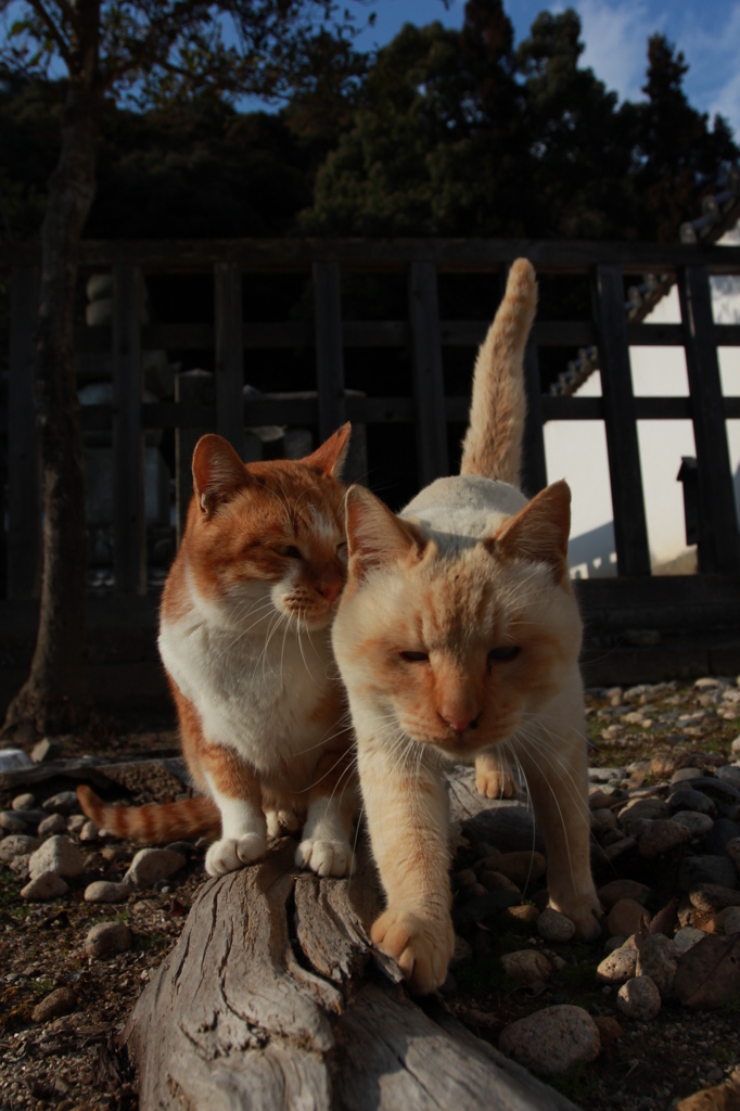 お２人様