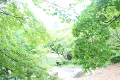 緑燃ゆ