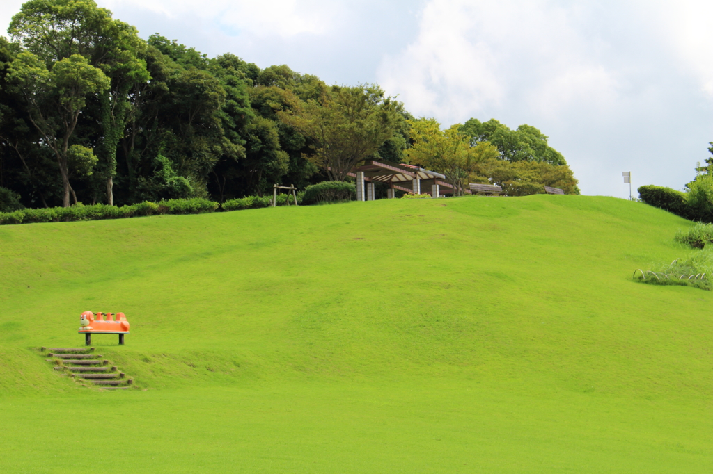 夏の公園