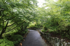 涼を求めて