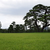 皇居周辺