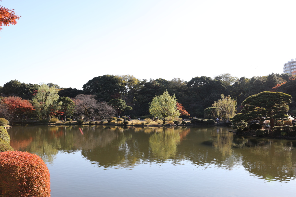 新宿御苑 紅葉