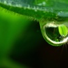 雨上がり