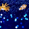 海中