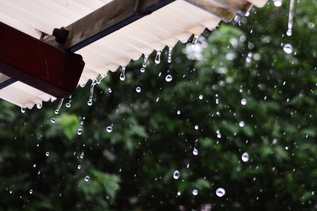 雨宿り