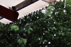 雨宿り