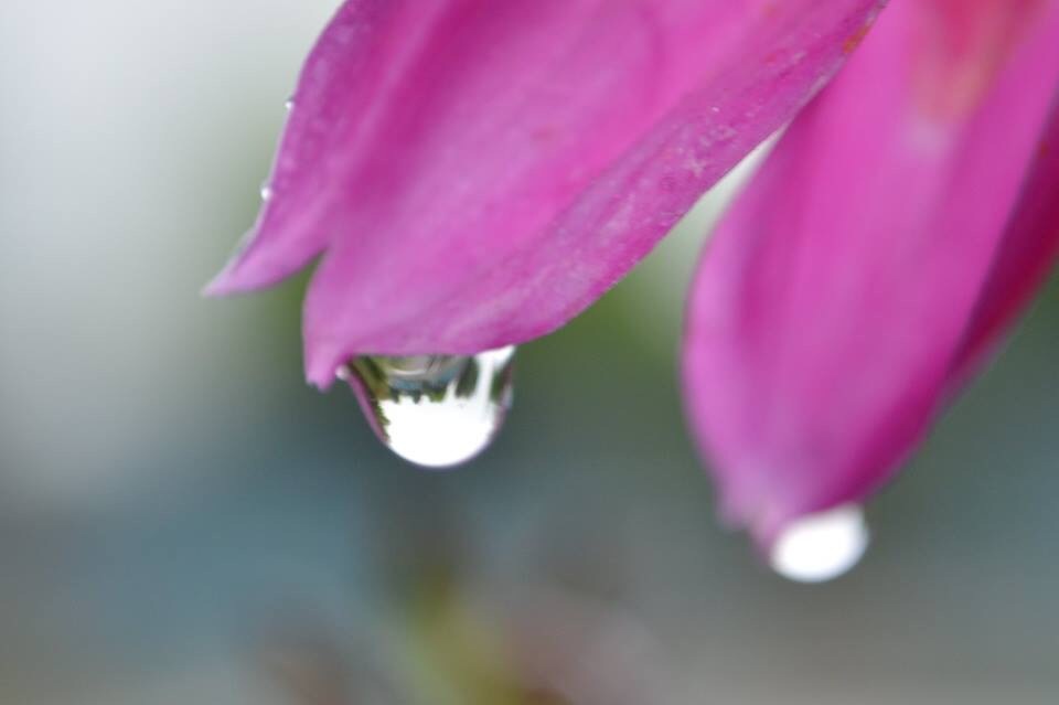 雫