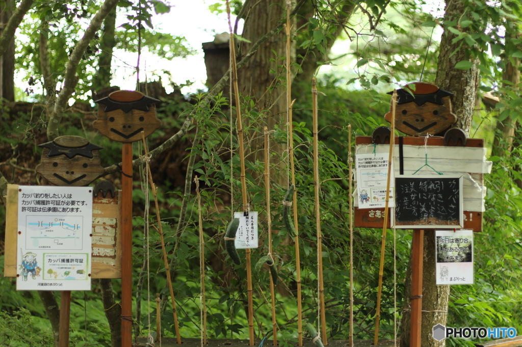 カッパ淵釣竿