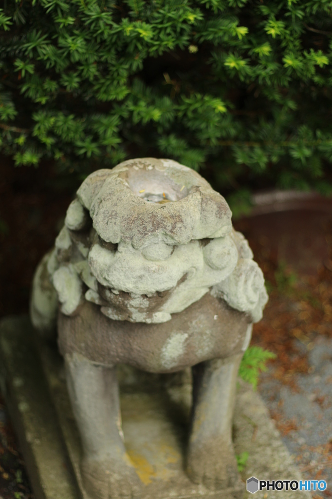 河童狛犬