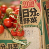 一日分のトマト。