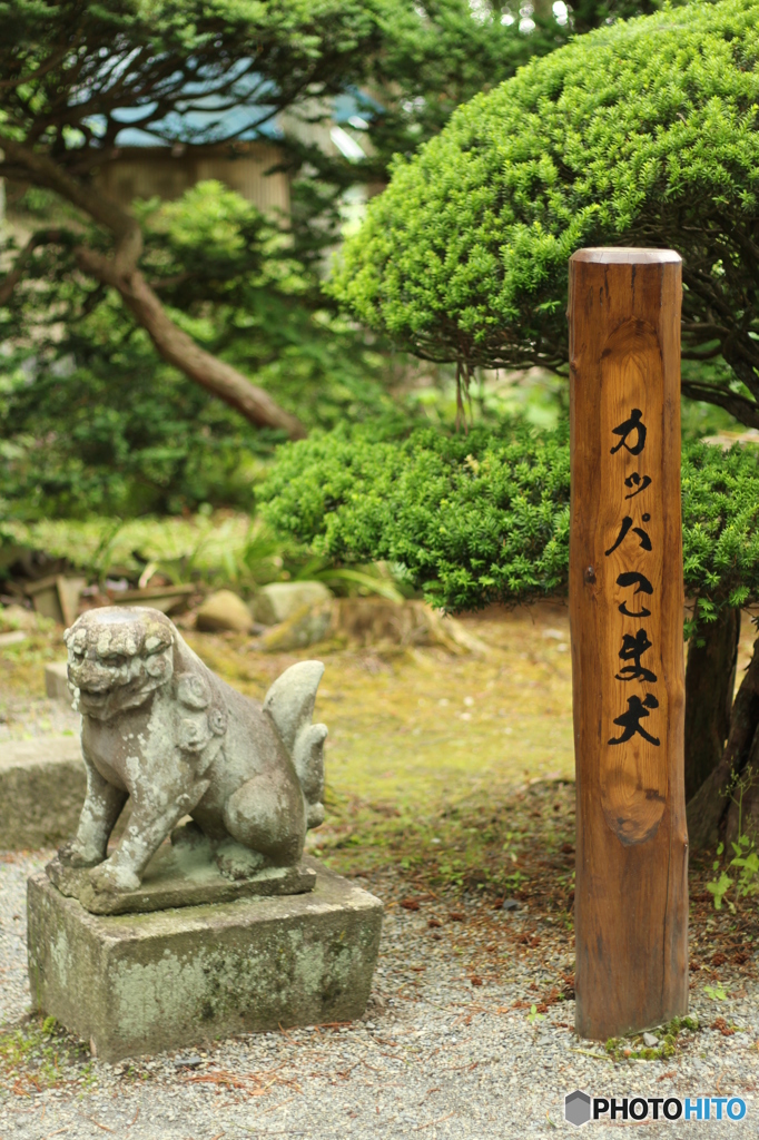 カッパこま犬