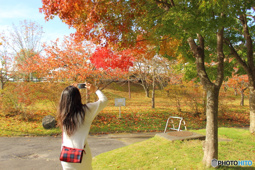 紅葉のグラデーションを撮る彼女を撮る私