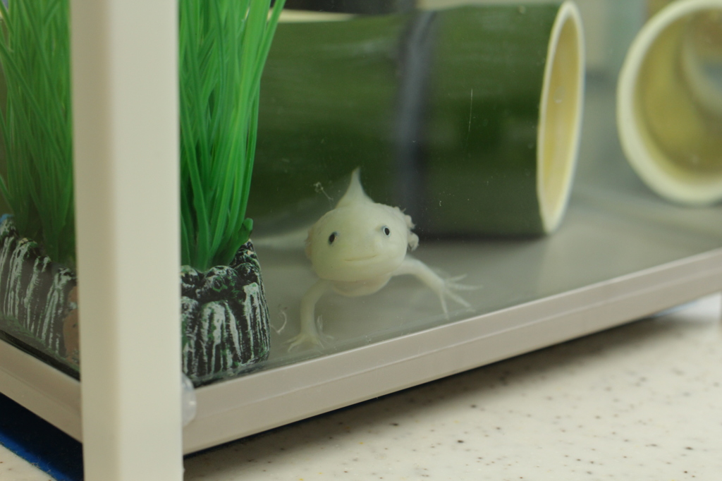 な～に？