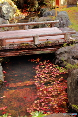 秋の小橋