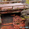 秋の小橋