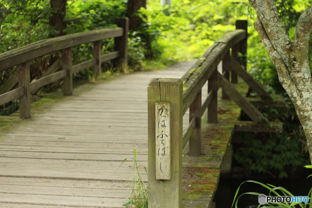 河童淵橋