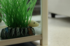 ひとやすみ