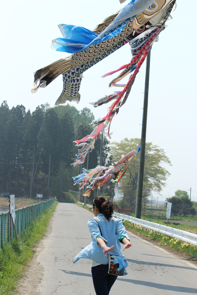 鯉のぼりの下を散歩