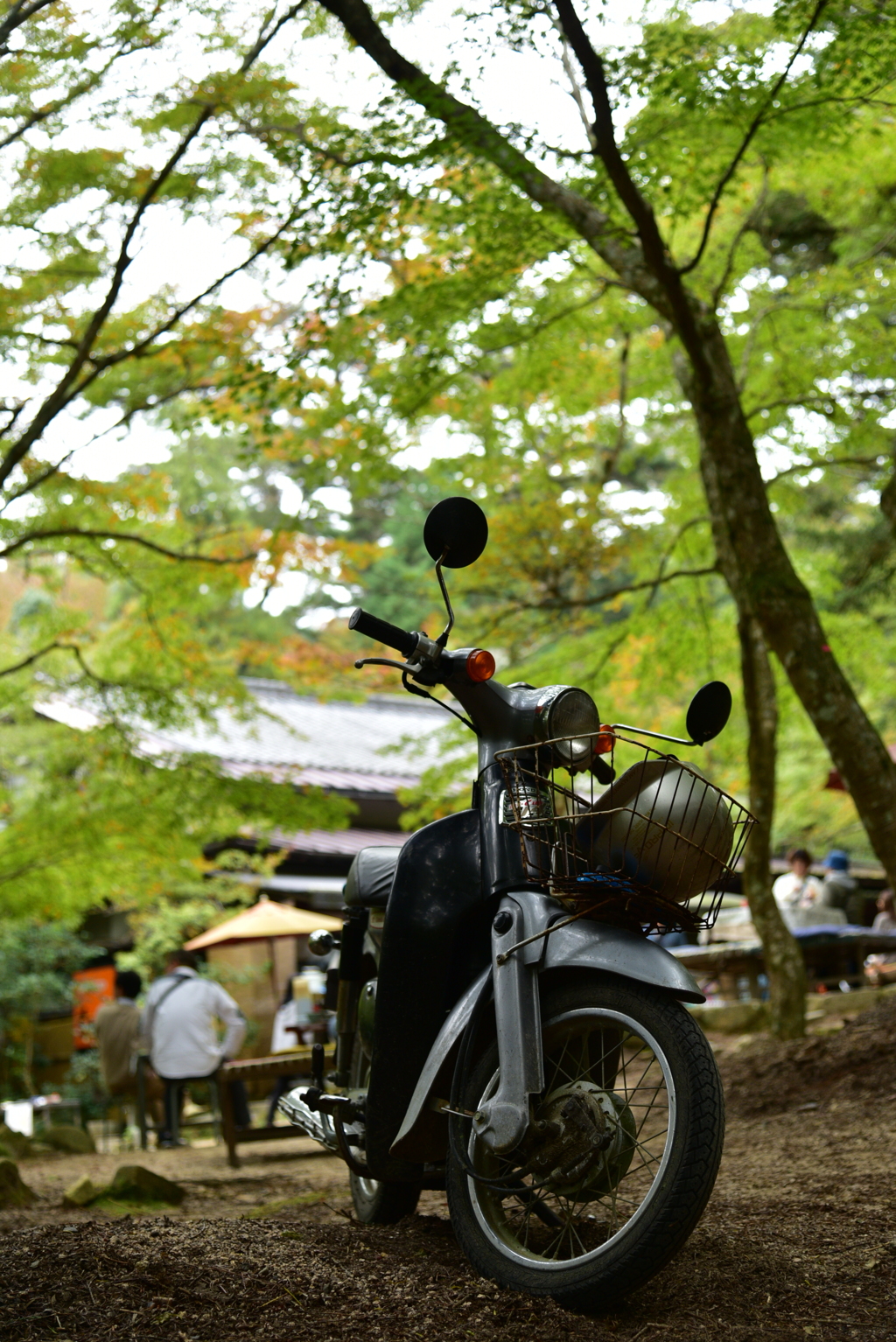 カブと紅葉谷。