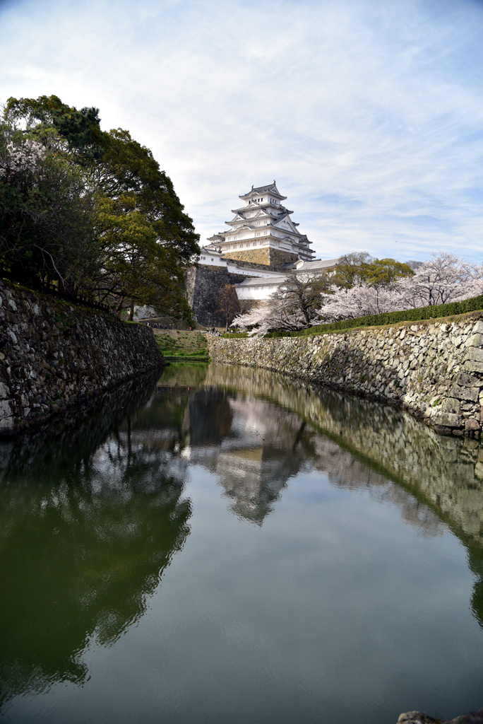 天守と花見。