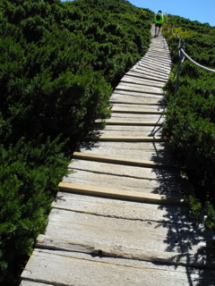 登山道。