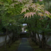 道、半（なか）ば。