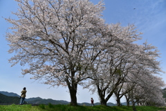 舞台「春」。