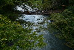 祖谷のかずら橋。