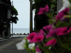 今年も夏町。