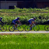 そろそろ自転車もアリかも？。