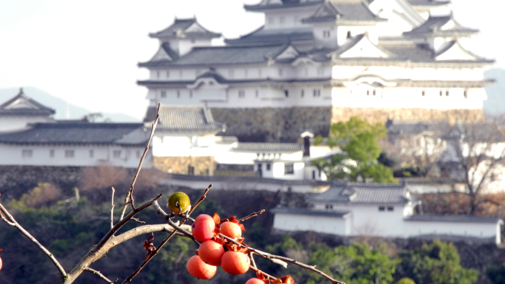 ひめじろう？。