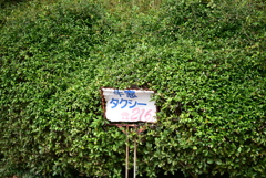 佇む。